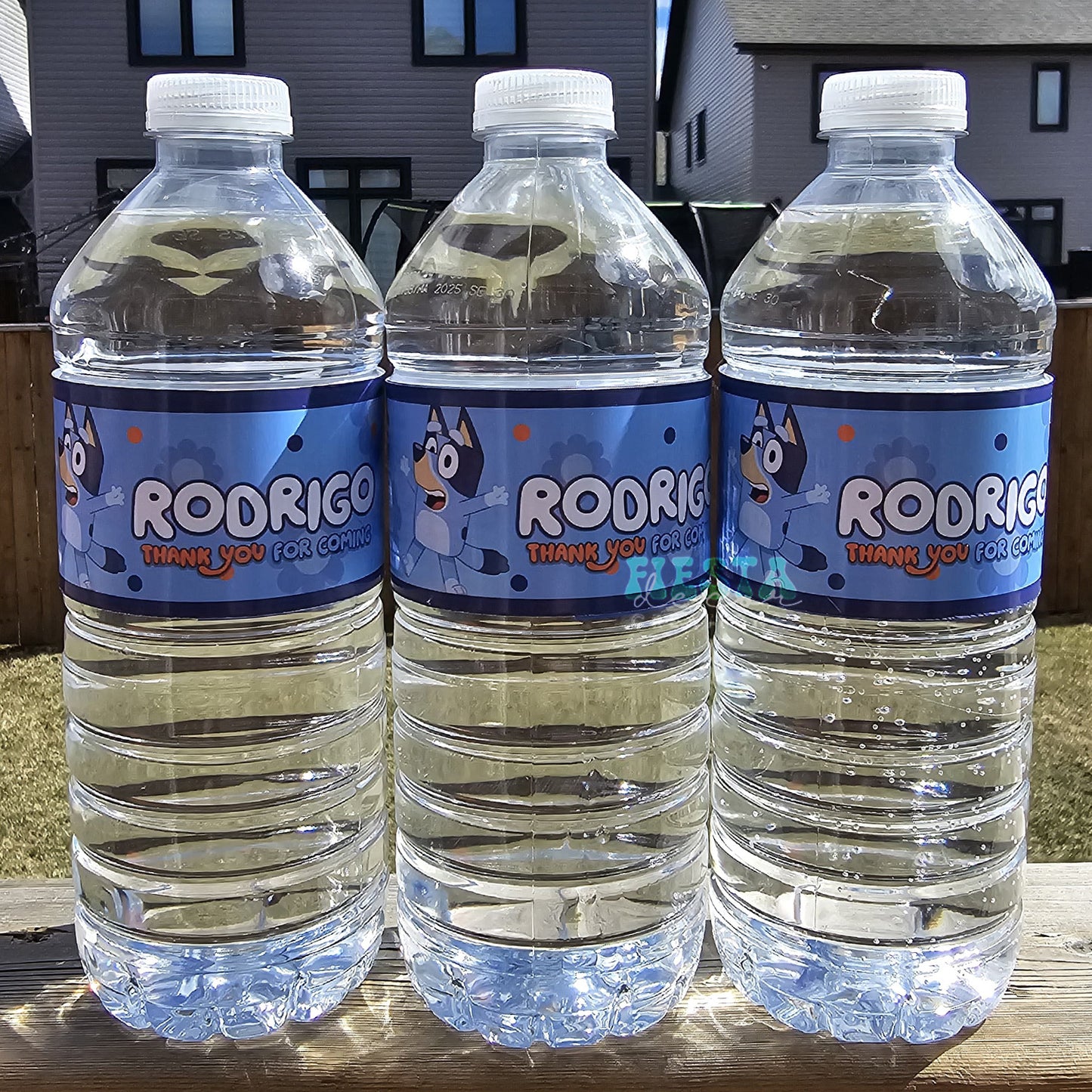 Personalized Water Bottles (12-Pack) | Custom Party Favors & Hydration | Fiesta Decor Creations